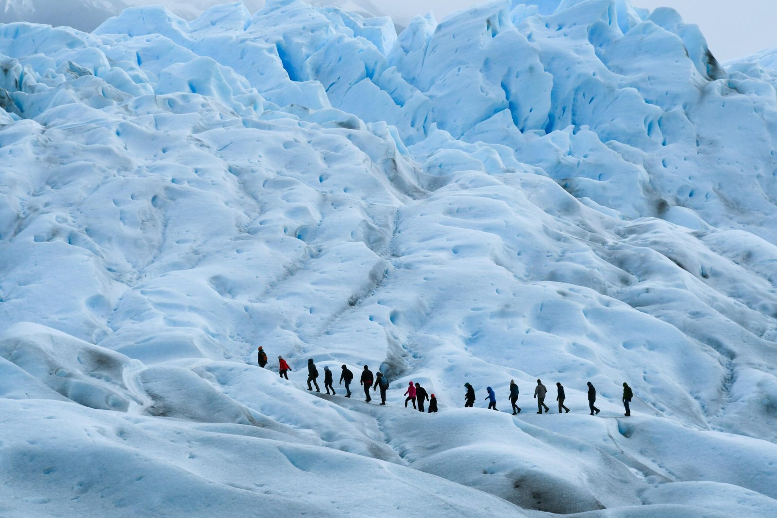 Pexels Alvaro Arcelus 2315574 3986650